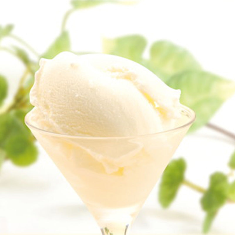 フローズンヨーグルト 10個セット